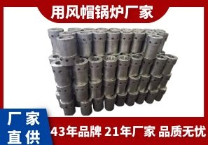 用風帽鍋爐廠家-質優的品質從品牌入手[江河]