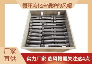循環流化床鍋爐的風帽-選風帽需關注這4點[江河]